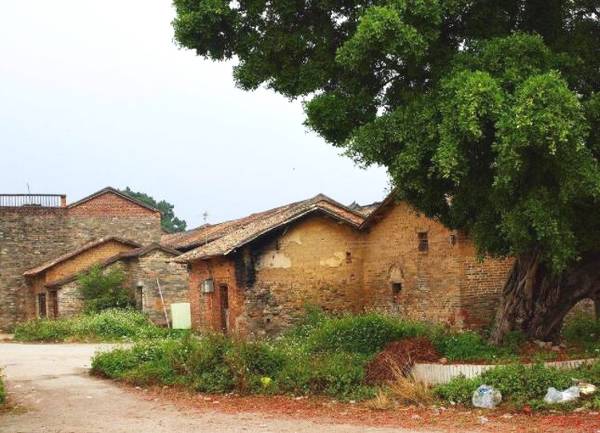 初次登門的準兒媳，見慘不忍睹的公婆家，竟做了「讓全村人驚訝的事」！