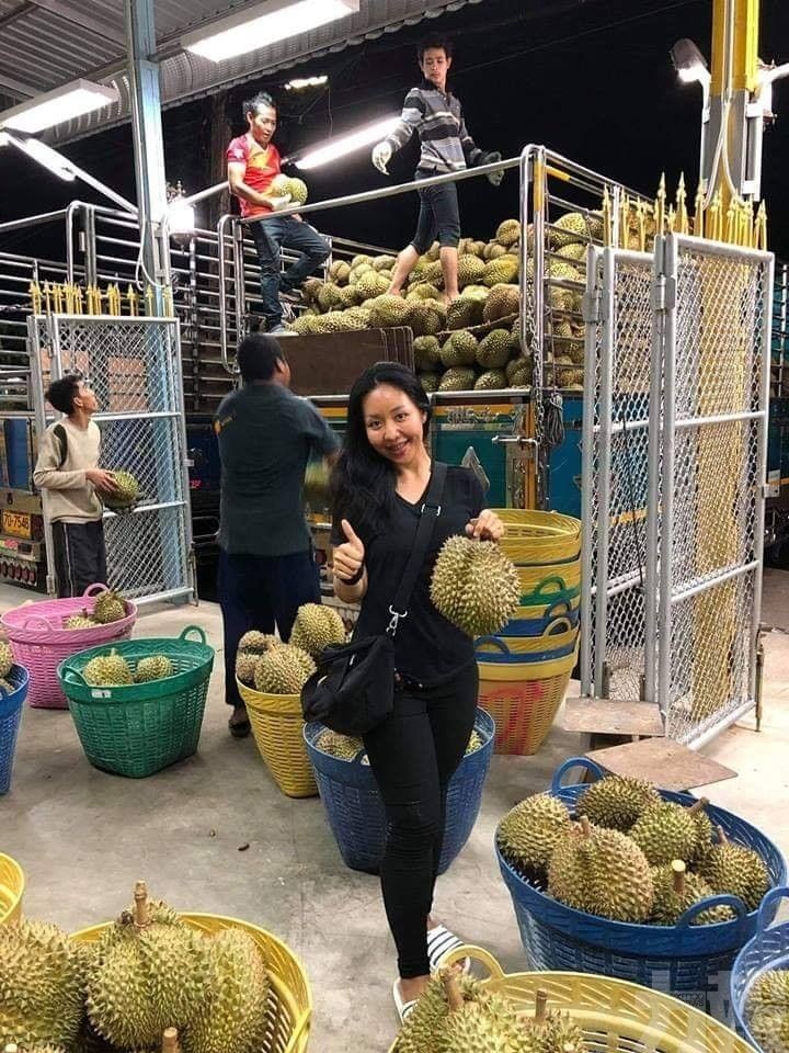 駙馬爺出爐！榴槤大亨招女婿「迎娶就送10車1房」　他看對方一眼「嚇傻取消婚約」：女兒不嫁了