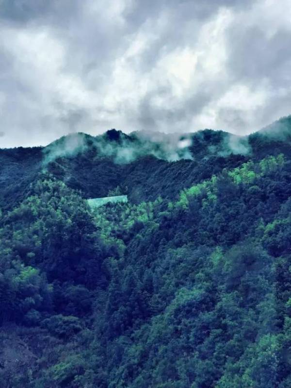 他造的三把劍，一把賣出高價，一把開創歷史，一把為金庸所邀