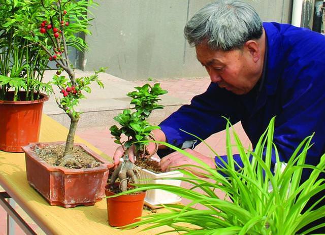 養花不要在傻傻的只知道澆水了「花都澆爛根了」老花農教你一個訣竅，養花都能輕鬆爆盆