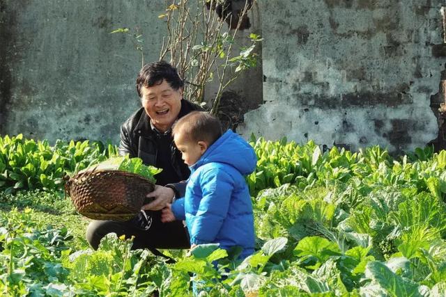 最理想的關係！獨生夫妻田中央蓋房「接雙方父母一起住」 一家七口生活全靠大聲呼喊