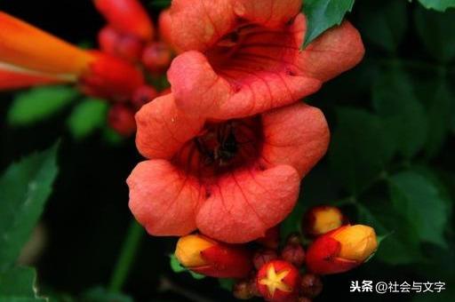 婚姻中沉得住氣的女人不簡單！記得「5不說」讓家庭關係更和諧（深度好文）