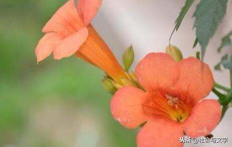 婚姻中沉得住氣的女人不簡單！記得「5不說」讓家庭關係更和諧（深度好文）