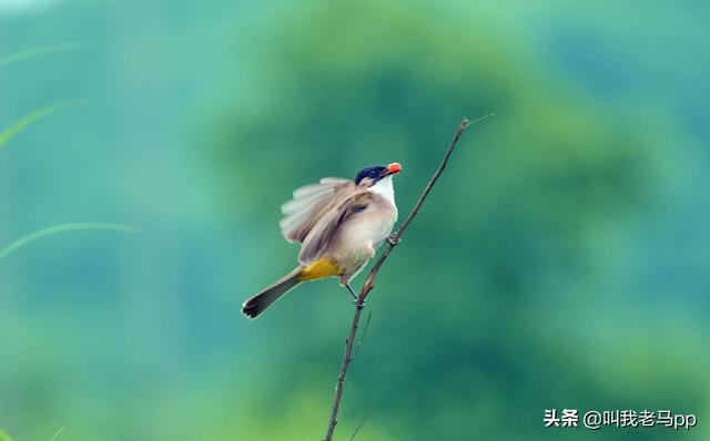 再忙再累，別忘了回家