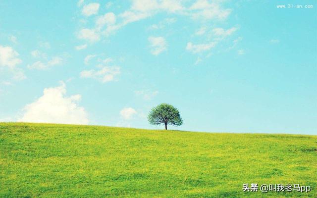 再忙再累，別忘了回家