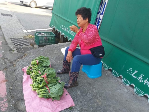 南投孝子天天牽88歲母散步！ 媽媽失智他溫柔提醒「我是你兒子」　多年甘之如飴「一天最幸福時光」