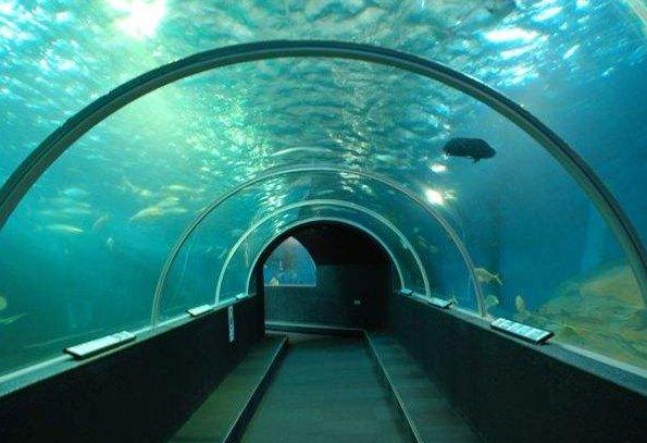 海裡全是水，海底隧道是怎樣修建的？看完感歎：工程太偉大了