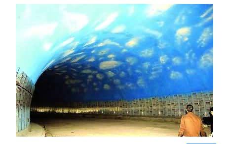 海裡全是水，海底隧道是怎樣修建的？看完感歎：工程太偉大了
