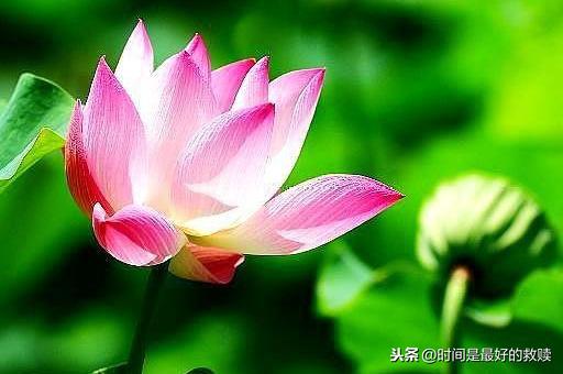 人在做，天在看，做人一定要善良！（字字深刻）