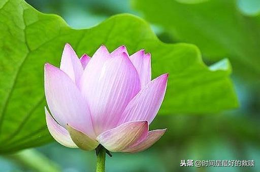 人在做，天在看，做人一定要善良！（字字深刻）
