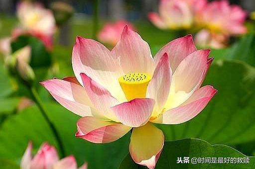人在做，天在看，做人一定要善良！（字字深刻）