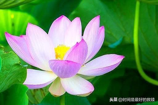 人在做，天在看，做人一定要善良！（字字深刻）