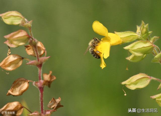 人到中年有「三個感覺」最珍貴！一路走來求得莫非「悟」一字