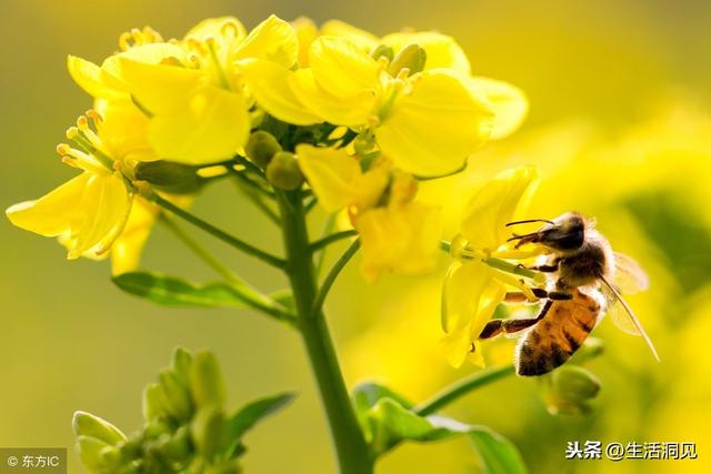 人到中年有「三個感覺」最珍貴！一路走來求得莫非「悟」一字