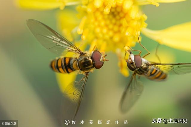 人到中年有「三個感覺」最珍貴！一路走來求得莫非「悟」一字