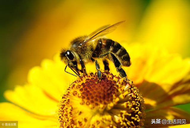 人到中年有「三個感覺」最珍貴！一路走來求得莫非「悟」一字