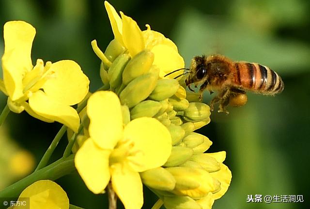人到中年有「三個感覺」最珍貴！一路走來求得莫非「悟」一字