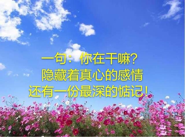有多少人忽視爸媽傳來的一句「你在幹嘛？」　不要討厭那個主動打擾你的人