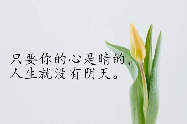 2019很棒的勵志語，句句經典，挑一句送給自己，願我們一切都好！