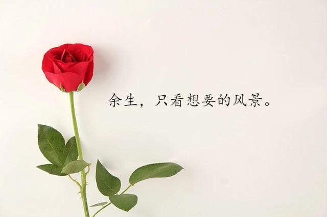 2019很棒的勵志語，句句經典，挑一句送給自己，願我們一切都好！