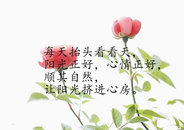 2019很棒的勵志語，句句經典，挑一句送給自己，願我們一切都好！