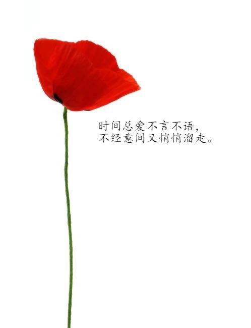 2019很棒的勵志語，句句經典，挑一句送給自己，願我們一切都好！
