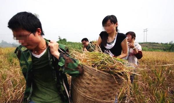 兒子出差,兒媳晚上總帶人回來,婆婆怒推開屋門,接下來蒙了