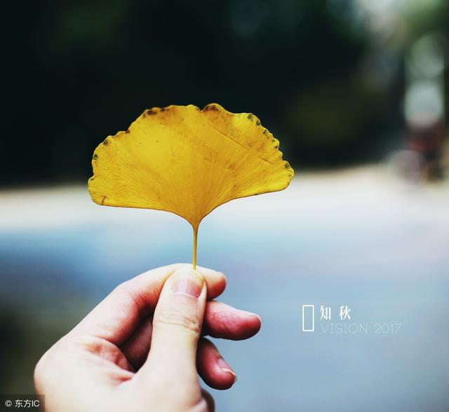 有些事不是不在意，而是在意了又能怎樣（路不通，選擇繞行就好！）