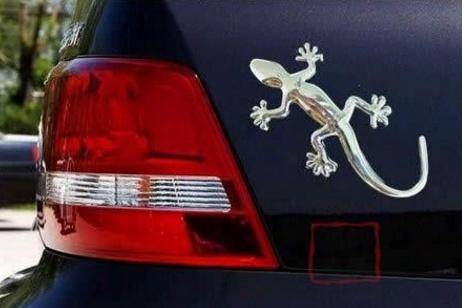 車尾掛「壁虎」到底是什麼意思？聽老司機說完，後悔現在才知道！