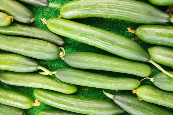 女人「5樣食物」天天堅持吃一點,越吃越瘦贅肉不再黏著你!