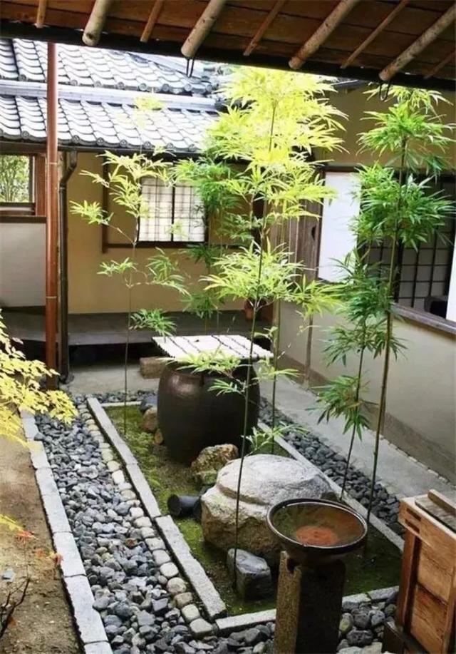 老了就想有個小院子！人世間太擁擠「唯此處寧靜」 約三五好友「一同泡茶」聊天多快活