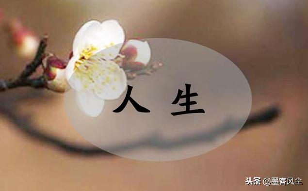 人生沒有捨就沒有得，失去的皆會以另一種方式還給你！