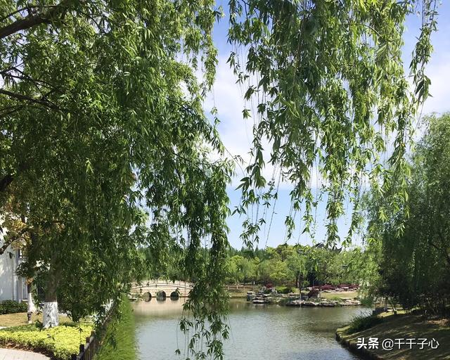 當你熬不下去的時候，都來看看吧！但願能換得你一夜好眠不再胡思亂想
