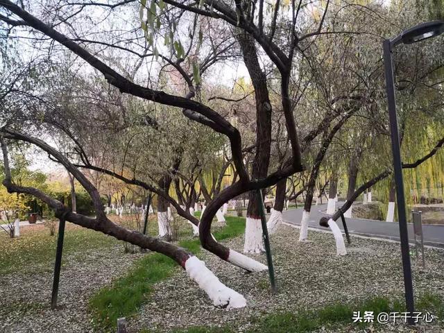 當你熬不下去的時候，都來看看吧！但願能換得你一夜好眠不再胡思亂想