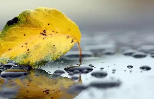 【心理測試】「王」字加一筆，你最先想到什麼字？測你在別人眼中是什麼樣的人！