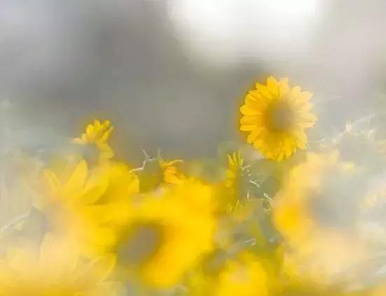 【心理測試】「王」字加一筆，你最先想到什麼字？測你在別人眼中是什麼樣的人！