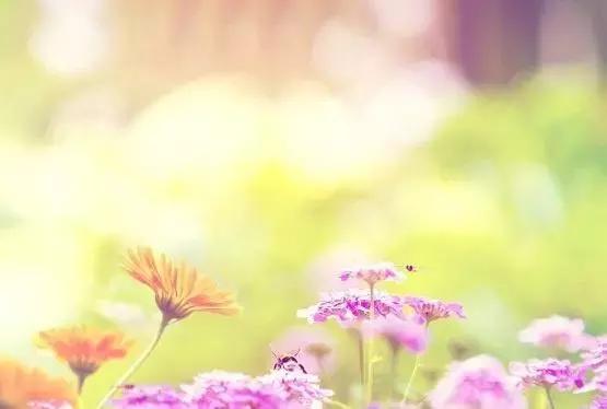 【心理測試】「王」字加一筆，你最先想到什麼字？測你在別人眼中是什麼樣的人！