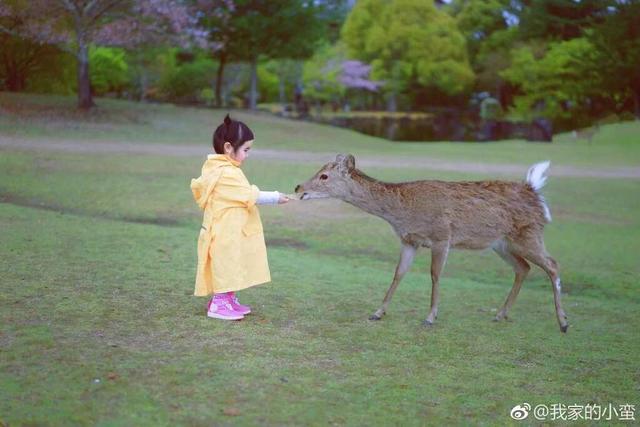 「吃貨小蠻」長大了！4歲可愛又俏皮，媽媽巧手打扮成時尚大咖：美翻了