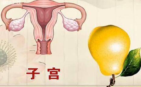 保護子宮至關重要！女性身體出現這5種情況  「說明子宮不好了」　尤其最後一個很傷身