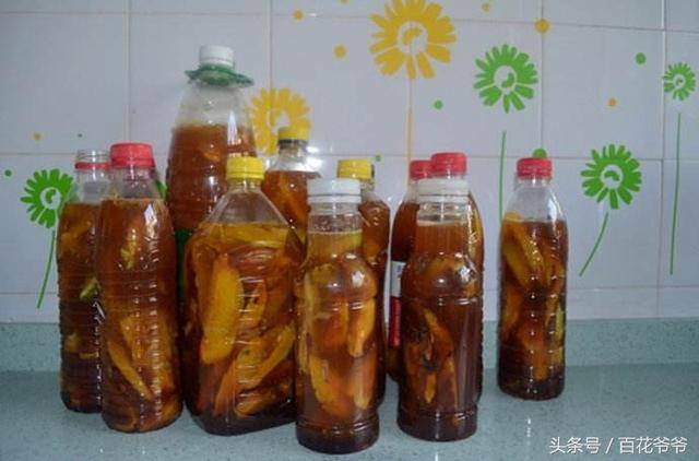 水果皮不要再扔了，用水果皮做「酵素」來養花「不用施肥」花草長得旺不生蟲子，方法特簡單