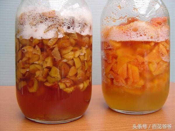 水果皮不要再扔了，用水果皮做「酵素」來養花「不用施肥」花草長得旺不生蟲子，方法特簡單