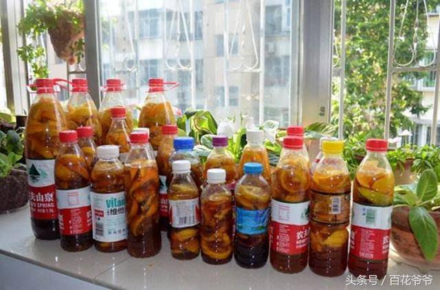 水果皮不要再扔了，用水果皮做「酵素」來養花「不用施肥」花草長得旺不生蟲子，方法特簡單