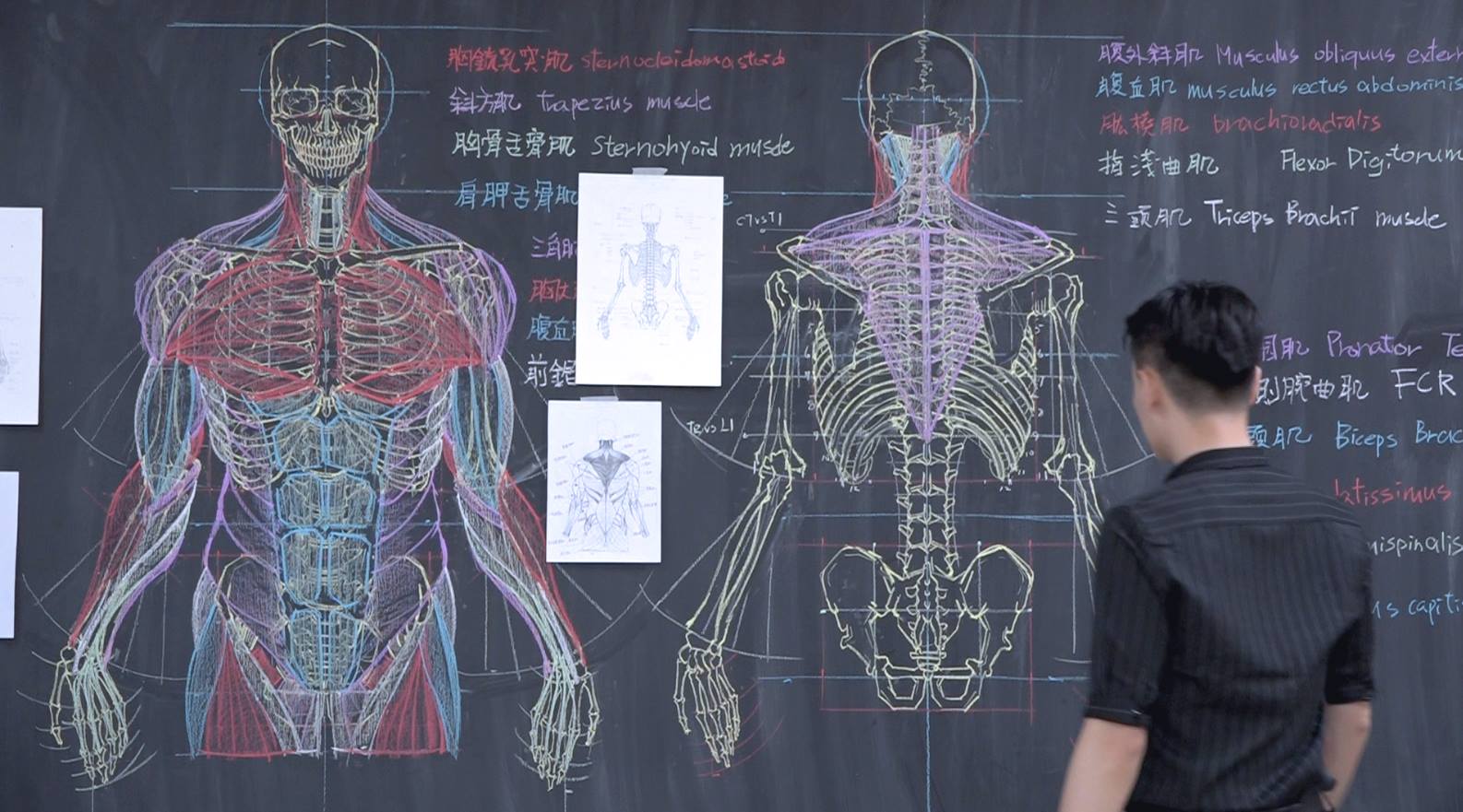 紅到日本去!台灣帥老師「手繪人體構造圖」教學 超狂成品「逼真到像3D」網看傻:醫學課還美術課?