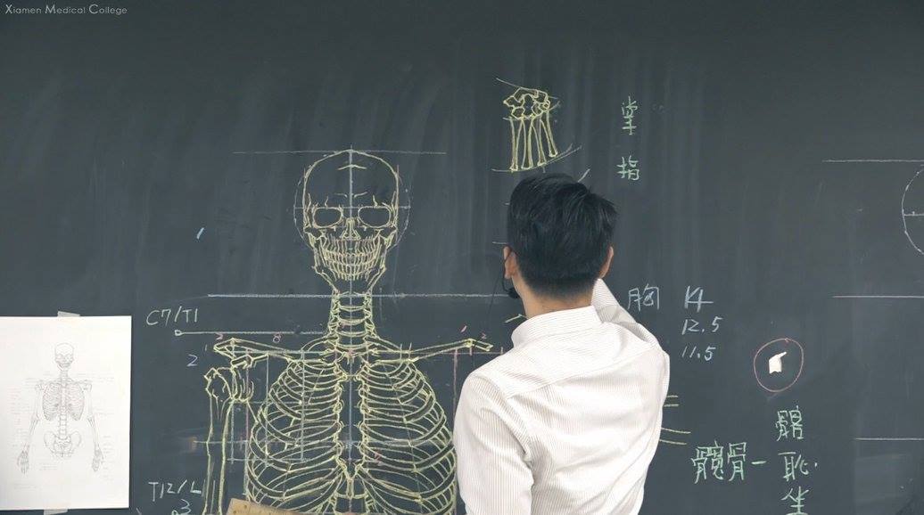 紅到日本去!台灣帥老師「手繪人體構造圖」教學 超狂成品「逼真到像3D」網看傻:醫學課還美術課?