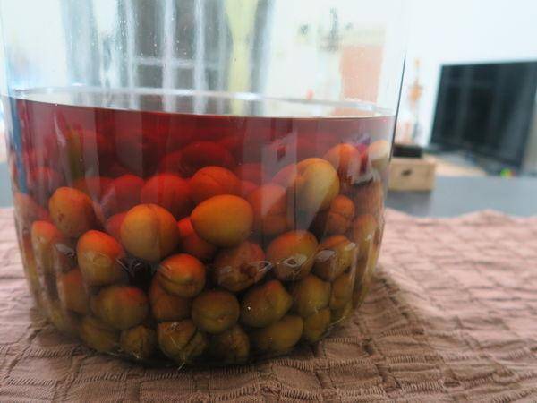 2分鐘學會「自製梅酒」，酸酸甜甜真好喝