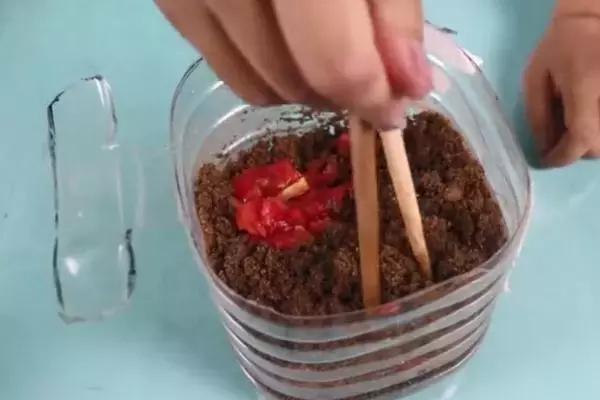 爛掉的蕃茄不要扔掉！放在家裡，居然能當花肥