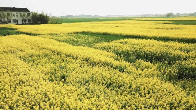 完成父親遺願！她花1000萬「改造祖宅→400㎡別墅」  一到夜晚「大驚喜出現」為爸爸點亮回家路