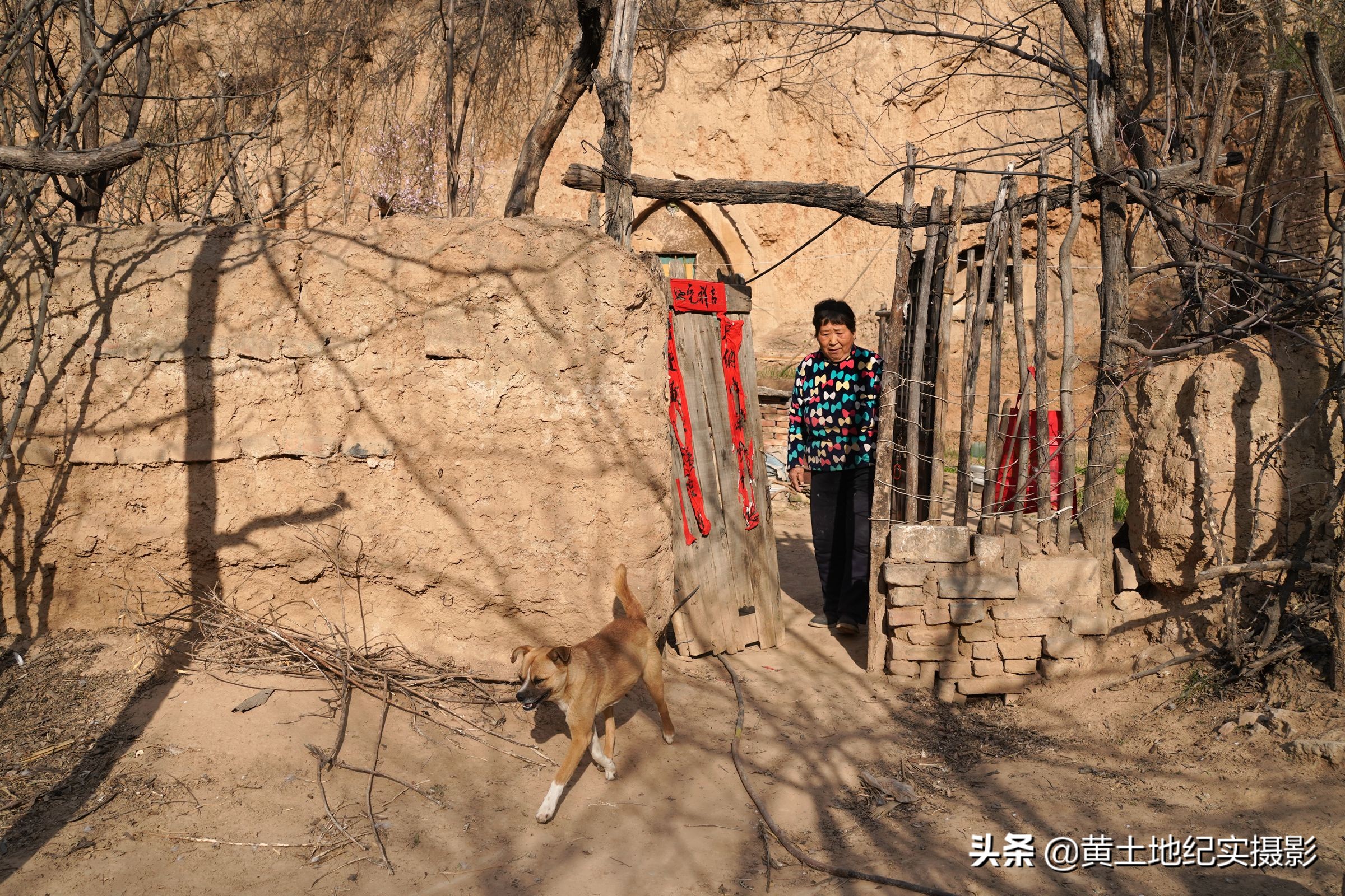 7旬老婦隱居深山53年！世外桃源「1條狗1隻鵝相伴」  聽著音樂燦笑：我就是個老神仙