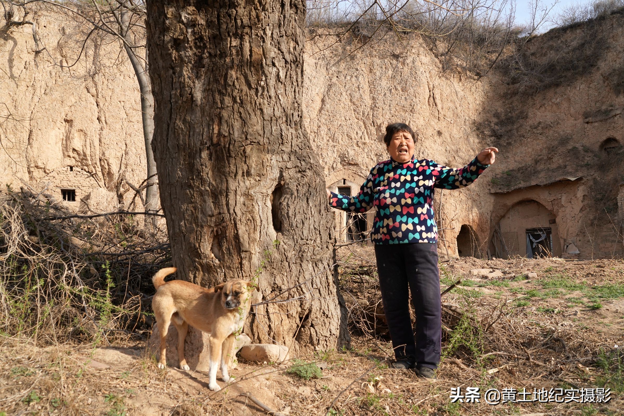7旬老婦隱居深山53年！世外桃源「1條狗1隻鵝相伴」  聽著音樂燦笑：我就是個老神仙