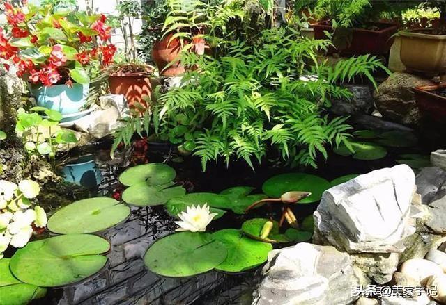 退休後不忘夢想！她用6年親手「打造夢境花園」 鄰居「酸做白工」一看嚇傻：冬天雪景春天花開美翻